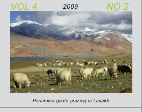 Vetscan Volume 4 No 2 | Pashmina Goats Grazing in Ladakh