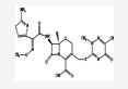 ceftriaxone