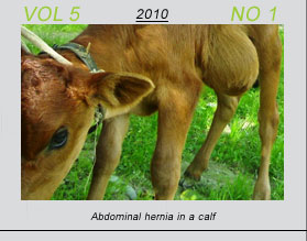 Vetscan Volume 4 No 2 | Pashmina Goats Grazing in Ladakh