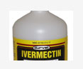 ivermectin pup