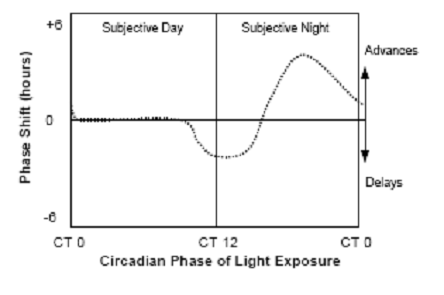 Circadian Rhythm � A Review | Vetscan