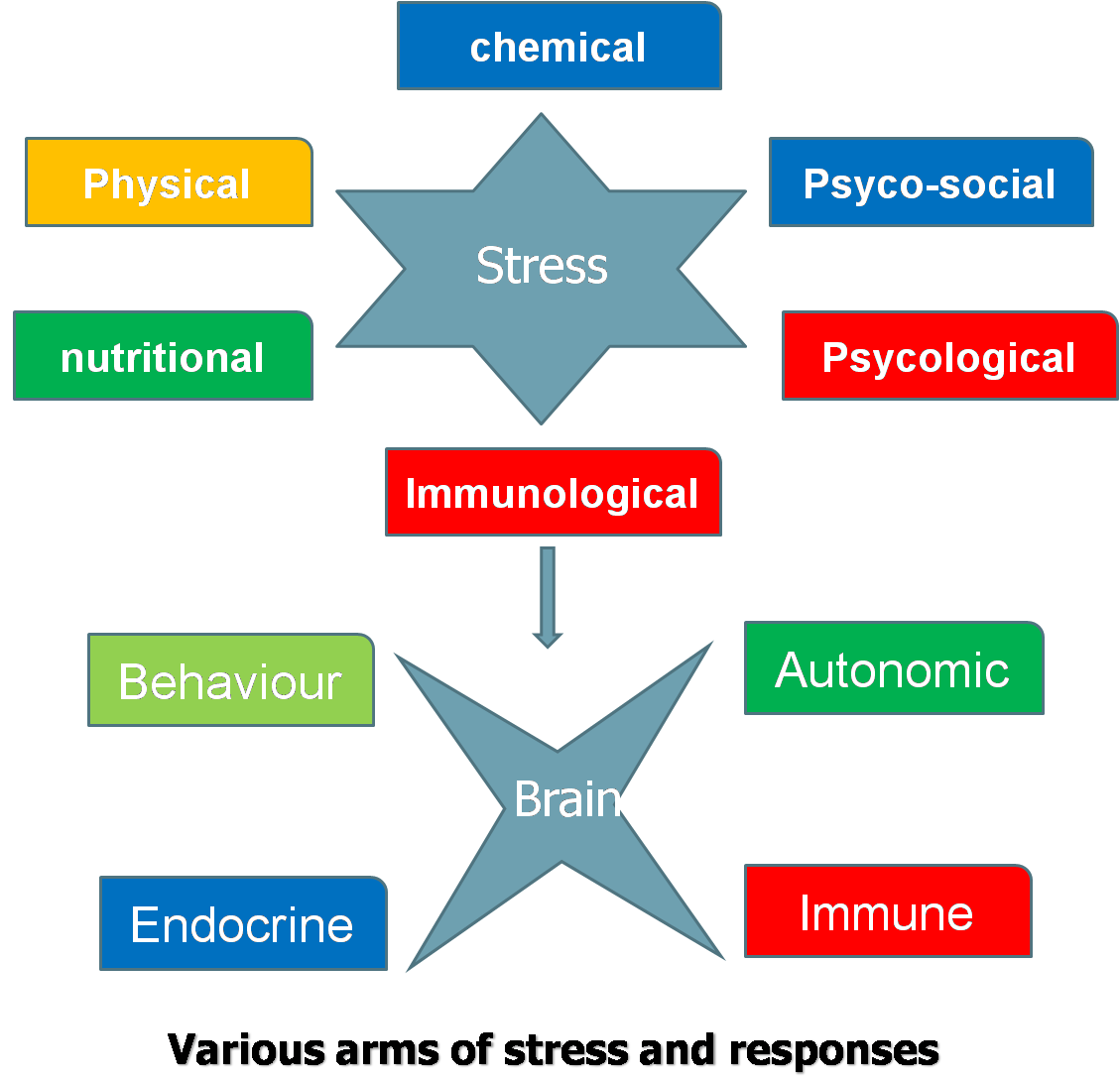 Stress Versus Reproduction in Animals | Vetscan