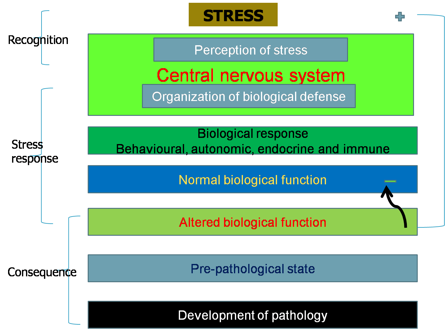 Stress Versus Reproduction in Animals | Vetscan