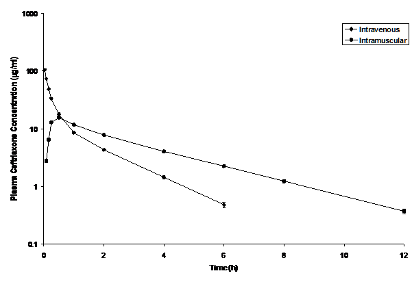 Pharmacokinetics and Bioavailability of Ceftriaxone