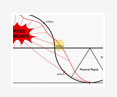 circadian rythm