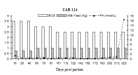 fig 5