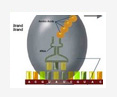 Molecular Characterization and Diversity of Rumen Bacterial Flora in Indian Goat by 16S rDNA Sequencing