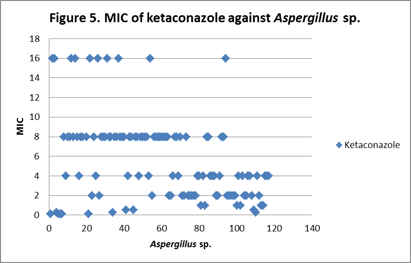 In Vitro Sensitivity of Aspergillus Species Isolated 