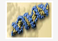 Harnessing RNA Interference Technology for Prospective Application in Animal Science 