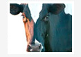 Nutritional Interventions to Combat Heat Stress in Dairy Animals