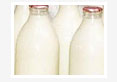 Diurnal-Variations-in-Milk-Macro-Mineral-Concentrations-in-Holstein-Dairy-Cows-in-Urmia-Iran